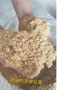 截圖20250419093929.png 截圖20250419093929.png