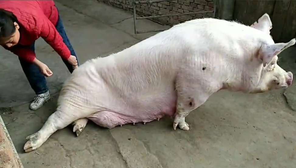 截圖20250421094438.png 截圖20250421094438.png