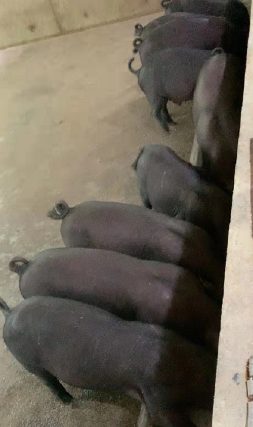 微信圖片_20230612095328.jpg 微信圖片_20230612095328.jpg