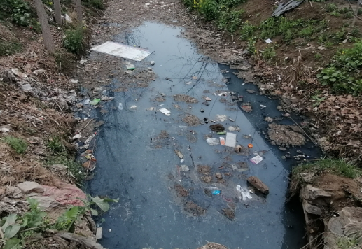 1748487621924.png 1748487621924.png