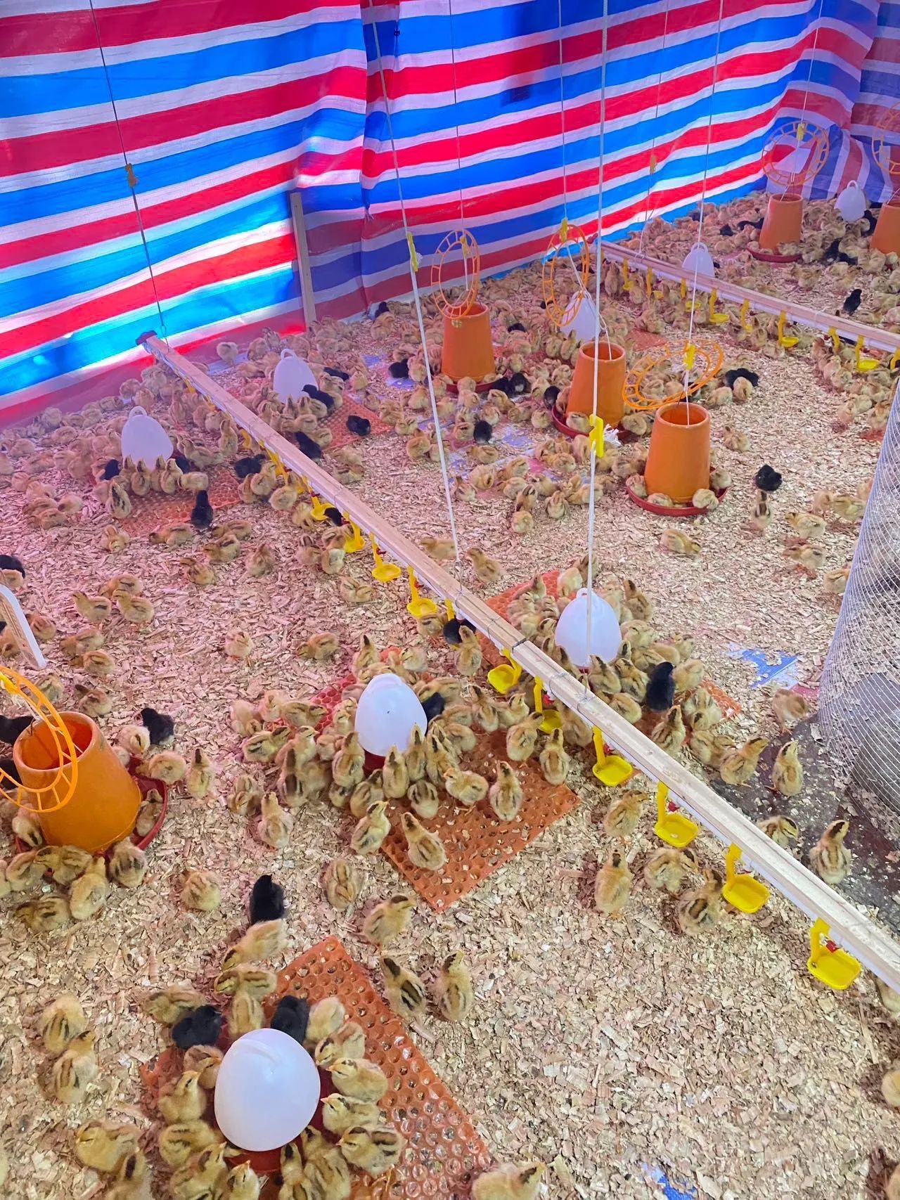 QQ圖片20250227133239.jpg QQ圖片20250227133239.jpg