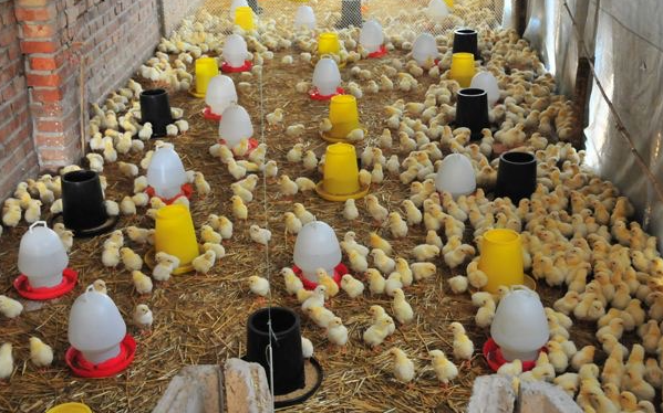 1722762261113302.png 1722762261113302.png