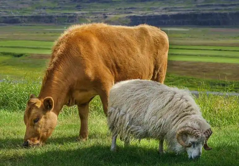 QQ圖片20250603095954.png QQ圖片20250603095954.png