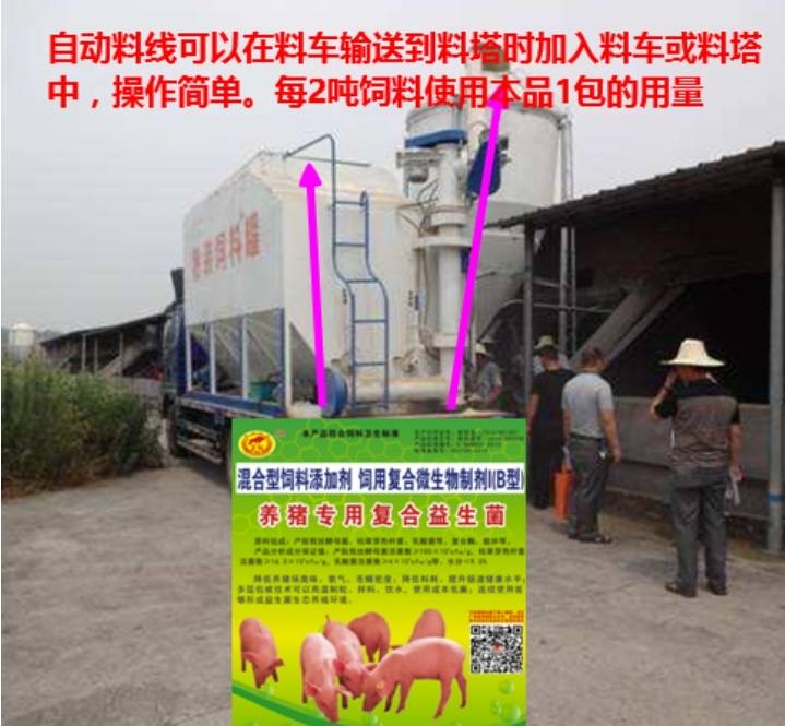 微信圖片_20250603153219.jpg 微信圖片_20250603153219.jpg