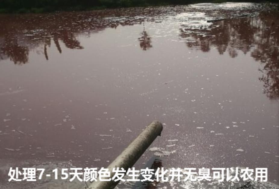 1719542588664410.jpg 1719542588664410.jpg