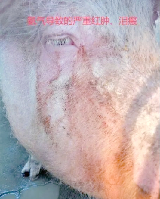 微信截圖_20250604091250.jpg 微信截圖_20250604091250.jpg