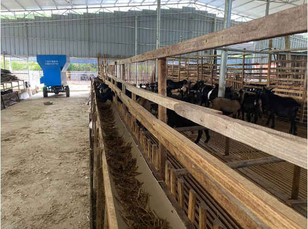 青儲牧草養羊7.png 青儲牧草養羊7.png