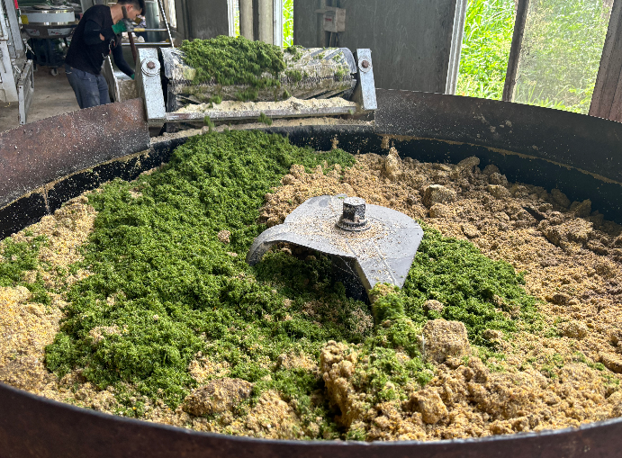 17315064103519407.png 17315064103519407.png