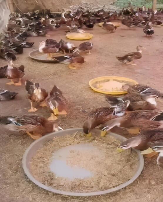 QQ圖片20250523091211.jpg QQ圖片20250523091211.jpg