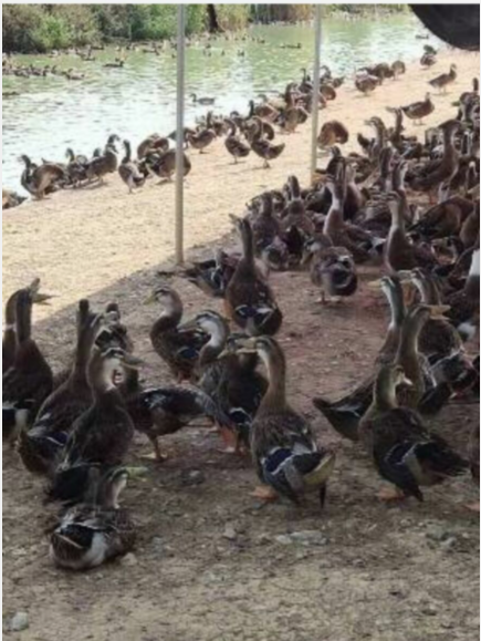 QQ圖片20220923095340.png QQ圖片20220923095340.png