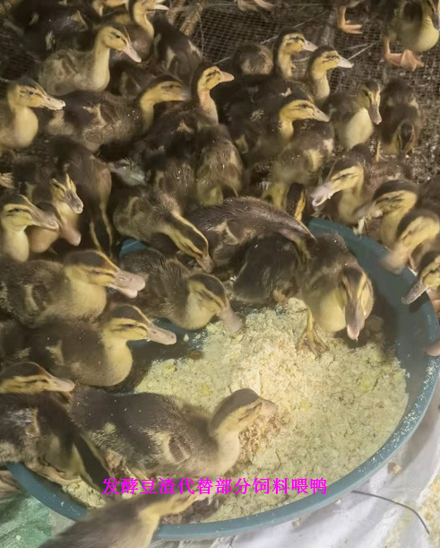 QQ圖片20230107105601.png QQ圖片20230107105601.png