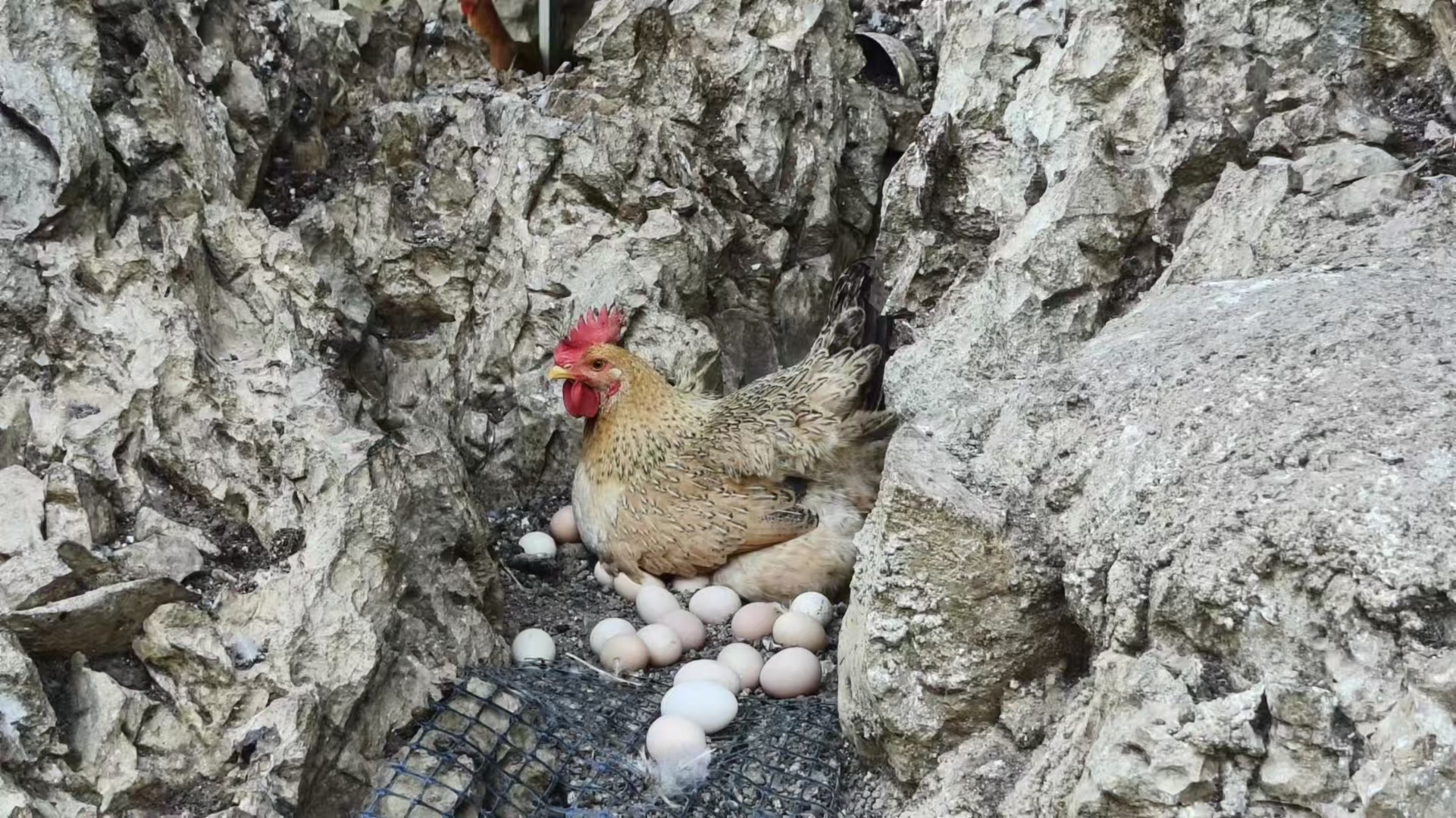 18691e03de491a3b62c50fba60a7f89.jpg 18691e03de491a3b62c50fba60a7f89.jpg