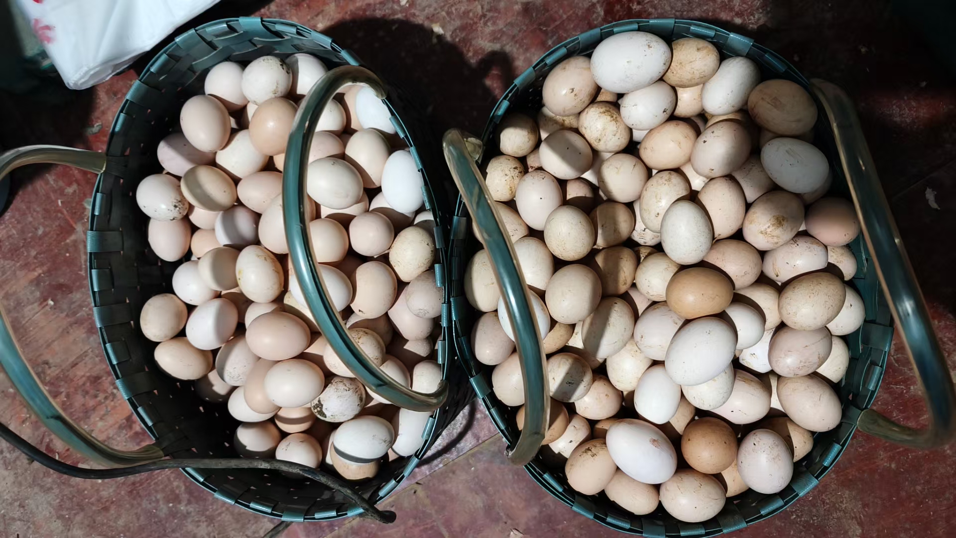 fdae4e46047e61a4539453df373e47a.jpg fdae4e46047e61a4539453df373e47a.jpg