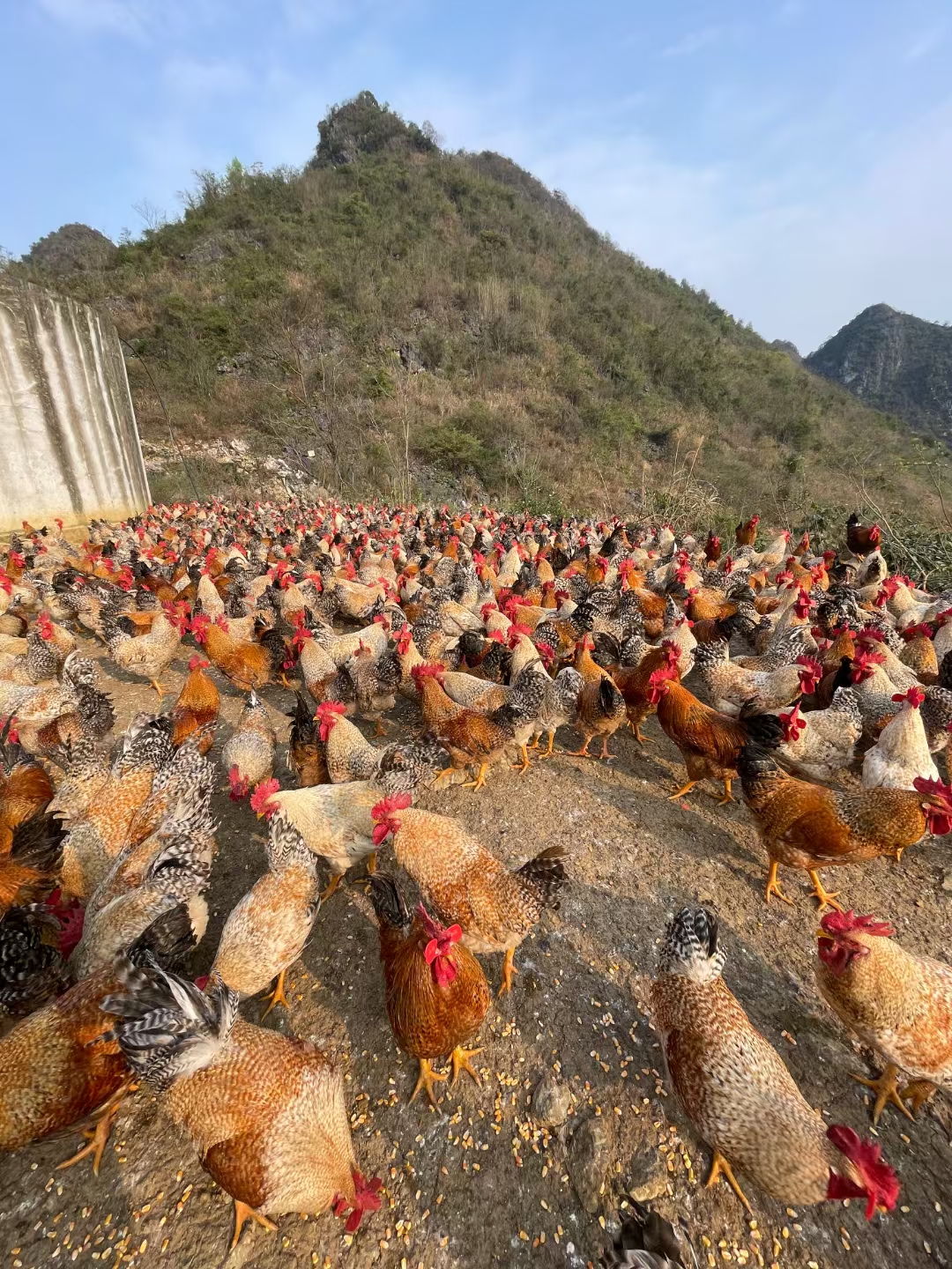 d48b4585dd6c051b2014dd1f44471ce.jpg d48b4585dd6c051b2014dd1f44471ce.jpg