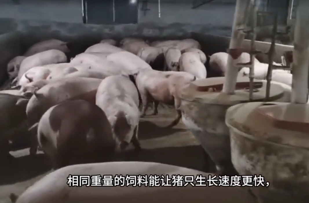 截圖20250611095126.png 截圖20250611095126.png