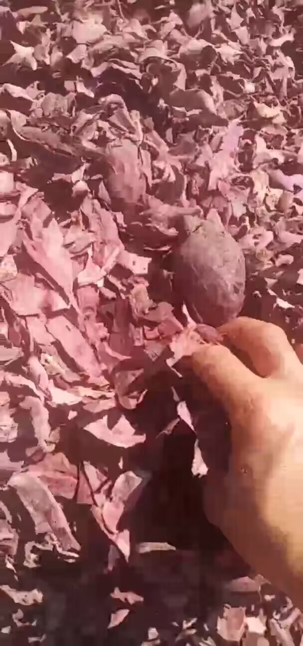 QQ圖片20230609122507.jpg QQ圖片20230609122507.jpg