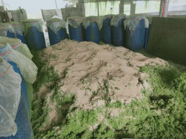 QQ圖片20250521151518.png QQ圖片20250521151518.png