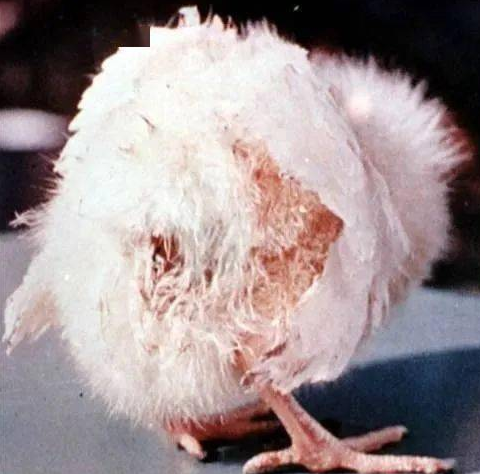 QQ圖片20250616095612.png QQ圖片20250616095612.png