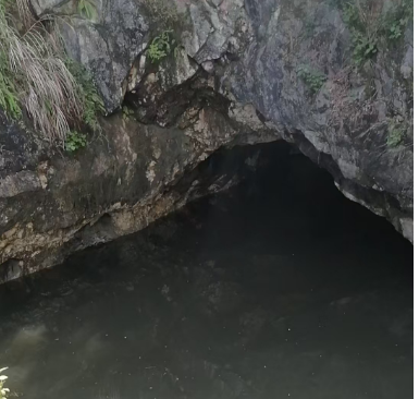 處理前.png 處理前.png