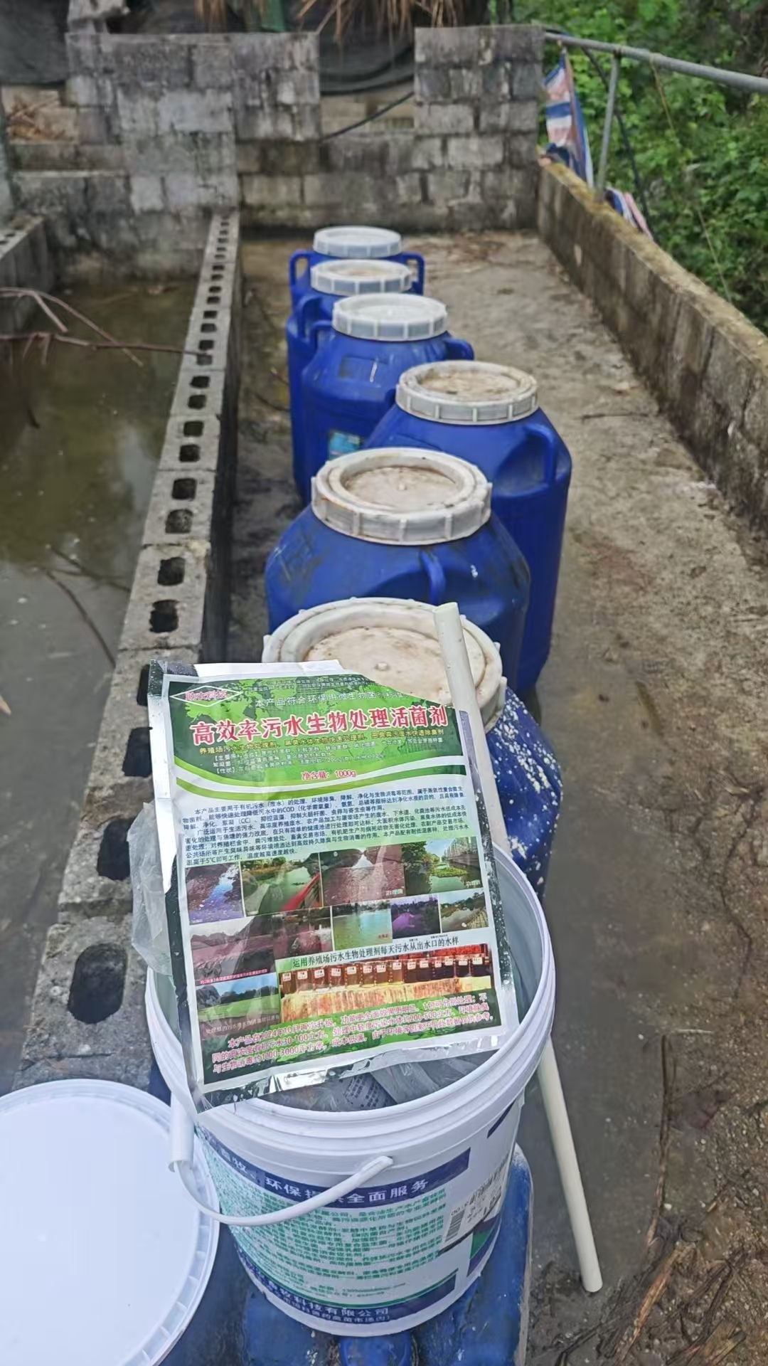 菌液發酵中.jpg 菌液發酵中.jpg