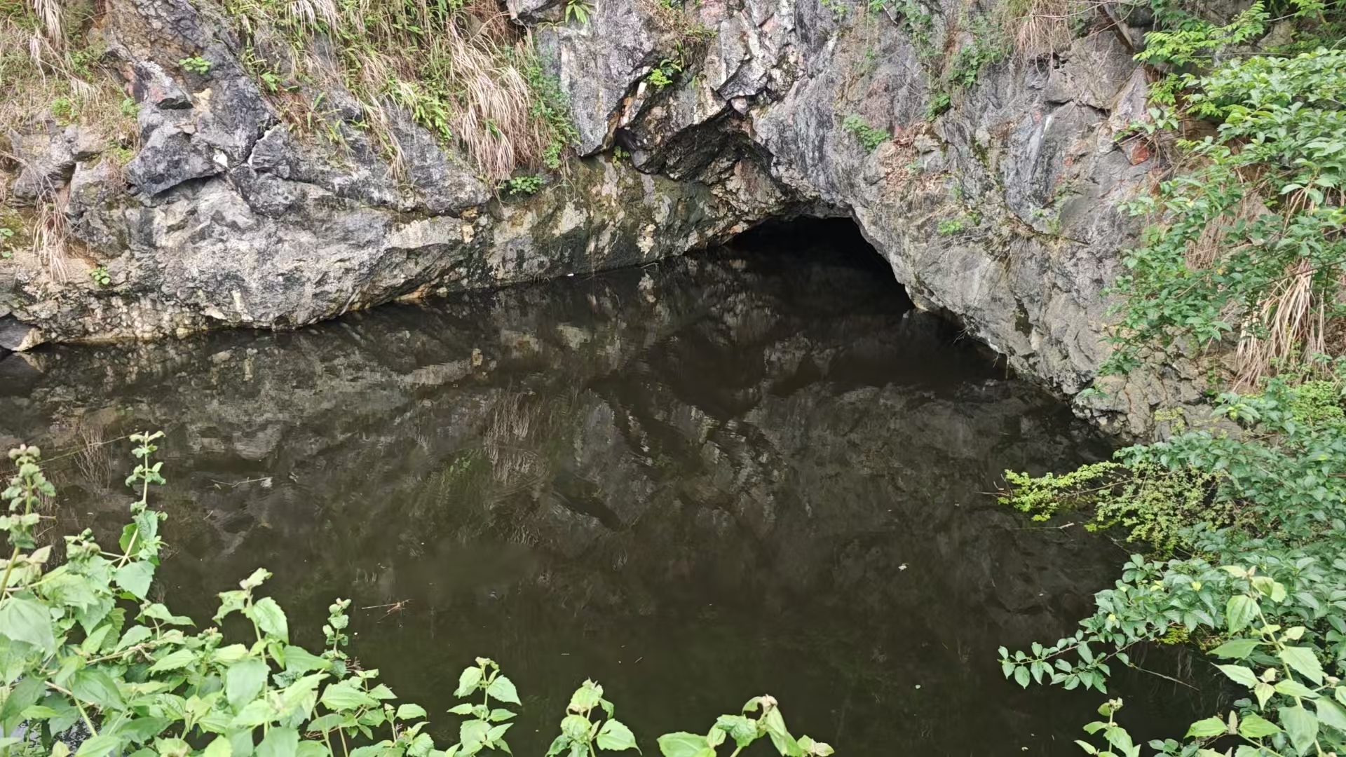 微信圖片_20250617100553.jpg 微信圖片_20250617100553.jpg