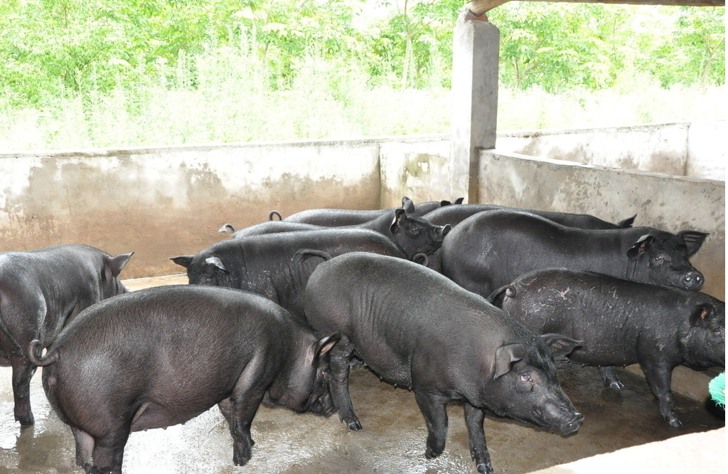 截圖20250617101009.png 截圖20250617101009.png