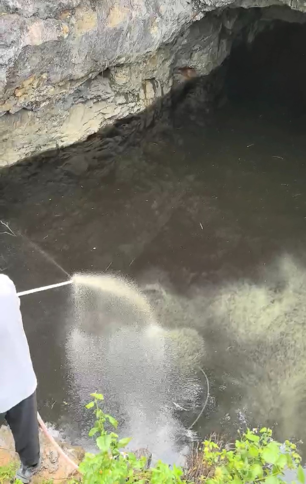 微信圖片_20250617100529.jpg 微信圖片_20250617100529.jpg