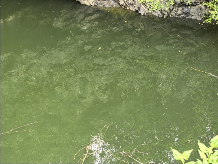 微信截圖_20250617101356.jpg 微信截圖_20250617101356.jpg