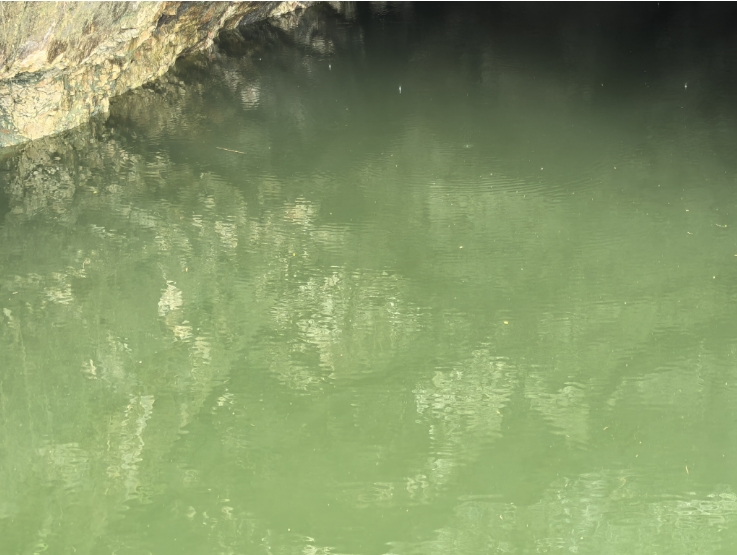 微信截圖_20250617101344.jpg 微信截圖_20250617101344.jpg