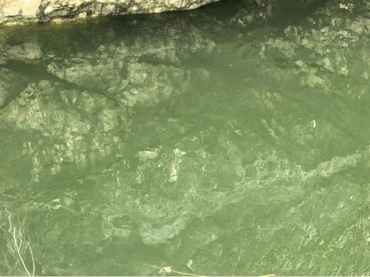 微信截圖_20250617101331.jpg 微信截圖_20250617101331.jpg