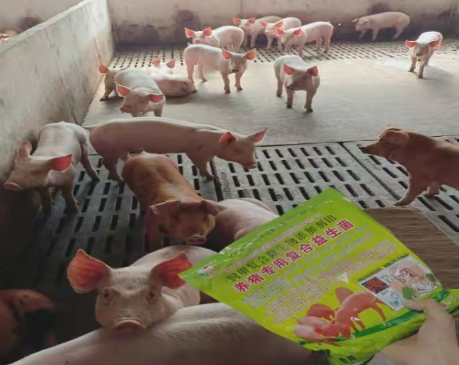 養(yǎng)豬專用復(fù)合益生菌3.jpg 養(yǎng)豬專用復(fù)合益生菌3.jpg