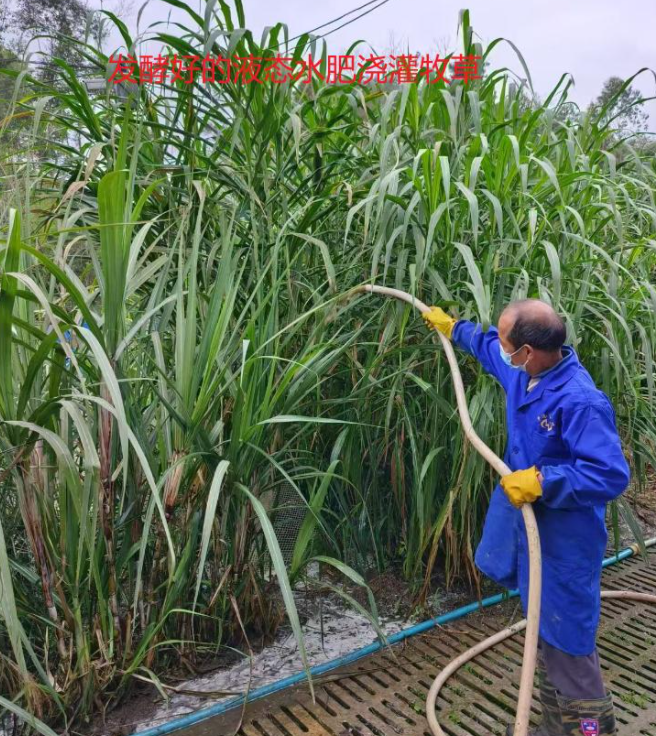 污水處理劑噴灑1.png 污水處理劑噴灑1.png