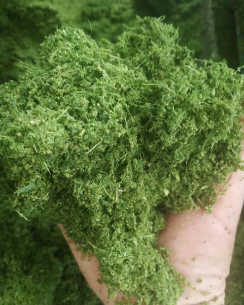 1704335040885120.jpg 1704335040885120.jpg