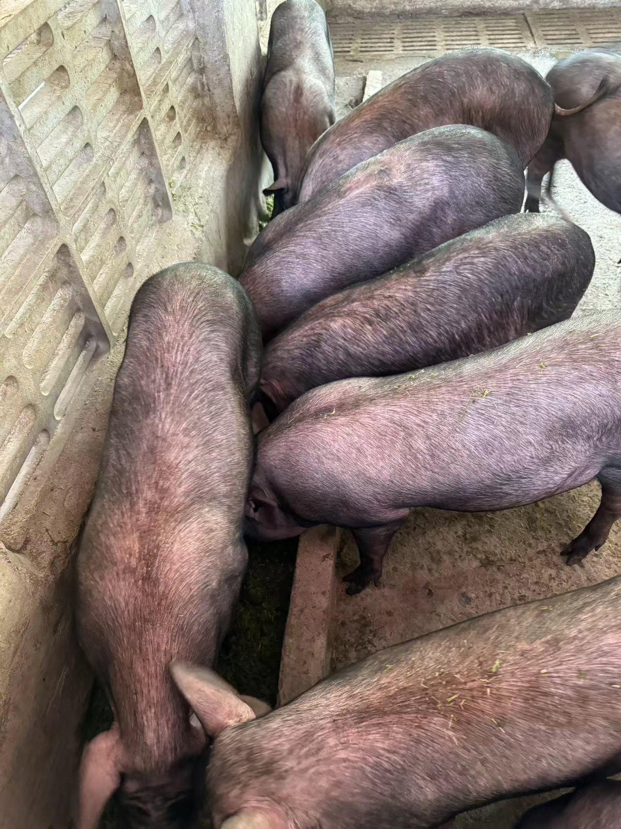 微信圖片_20250709105422.jpg 微信圖片_20250709105422.jpg