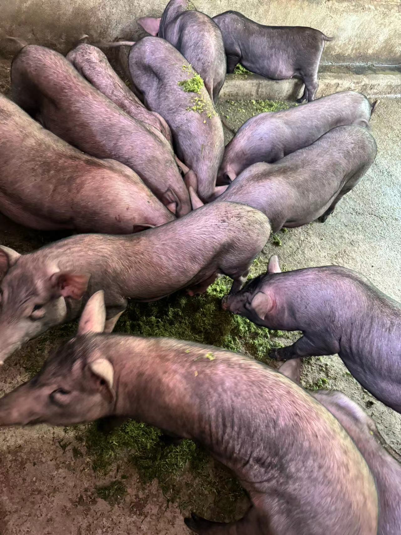 微信圖片_20250709105411.jpg 微信圖片_20250709105411.jpg