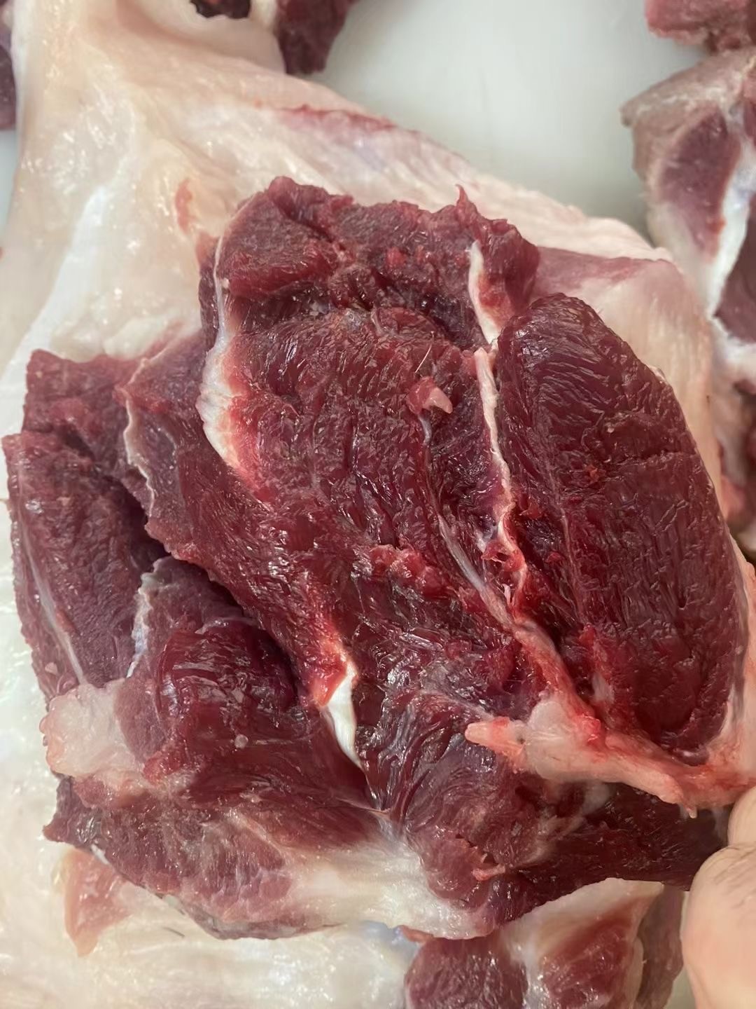 微信圖片_20250709105348.jpg 微信圖片_20250709105348.jpg