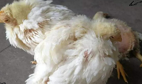 DE20F002222B533DB8AA6310A92FB3E6.png DE20F002222B533DB8AA6310A92FB3E6.png