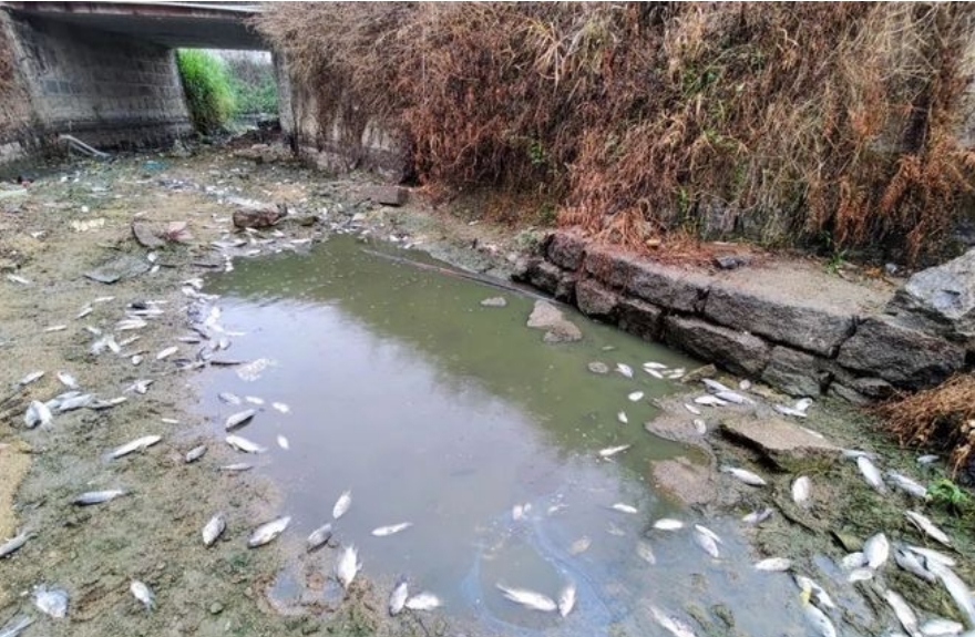 微信截圖_20250716100315.jpg 微信截圖_20250716100315.jpg