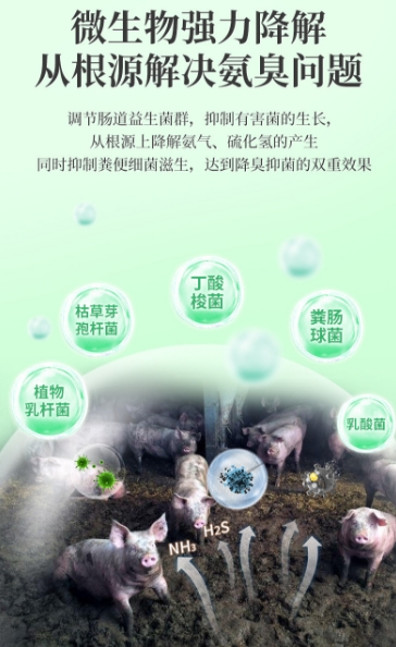 微信截圖_20250716100411.jpg 微信截圖_20250716100411.jpg