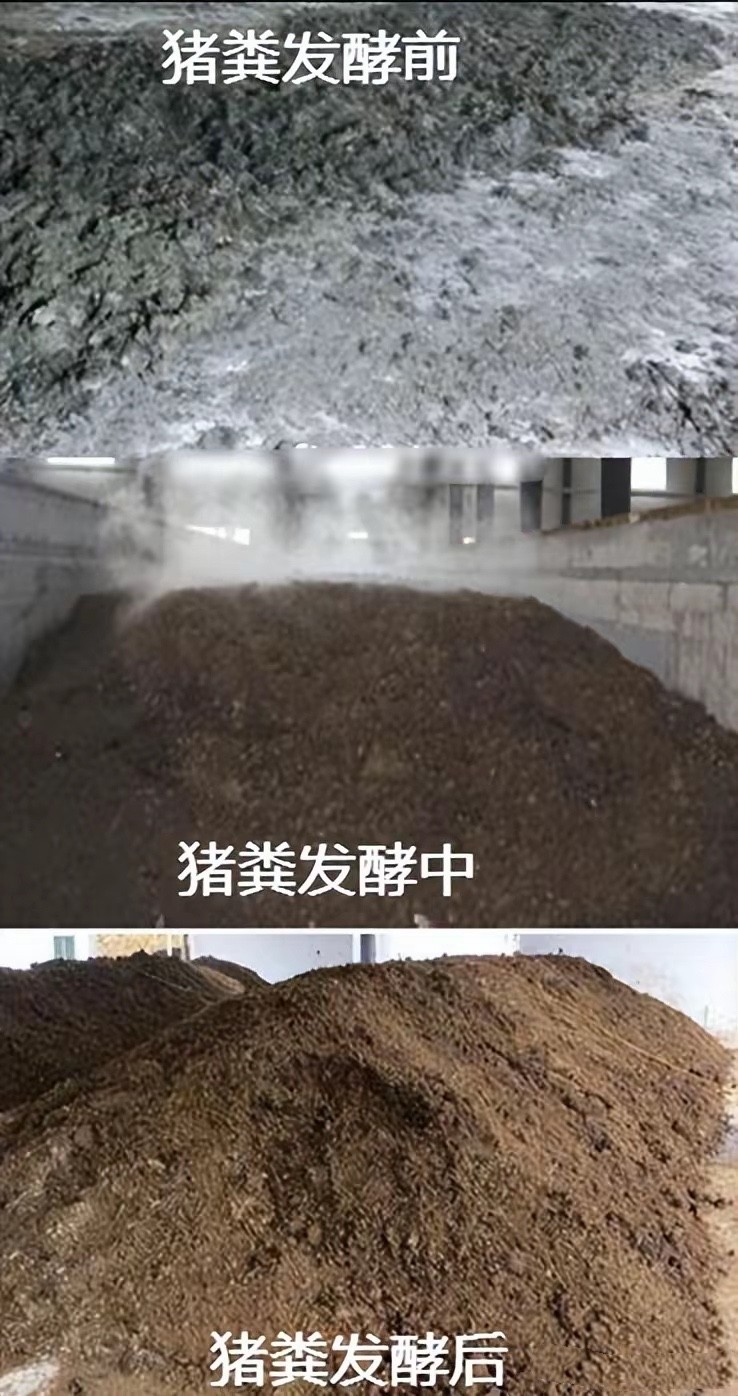 微信圖片_20250716100552.jpg 微信圖片_20250716100552.jpg