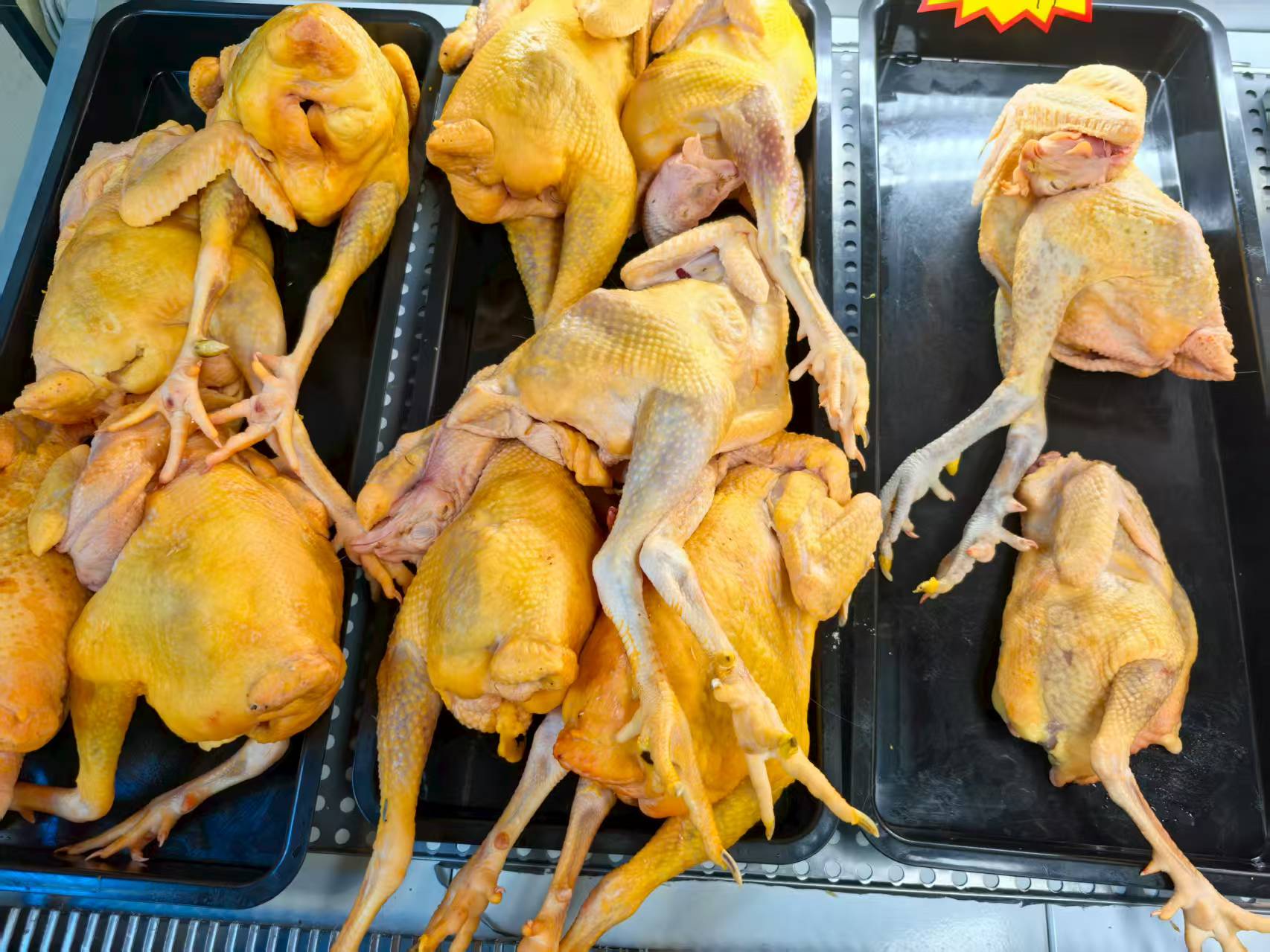 26DE36661EE6F74867BFDA6B39590E1B.jpg 26DE36661EE6F74867BFDA6B39590E1B.jpg