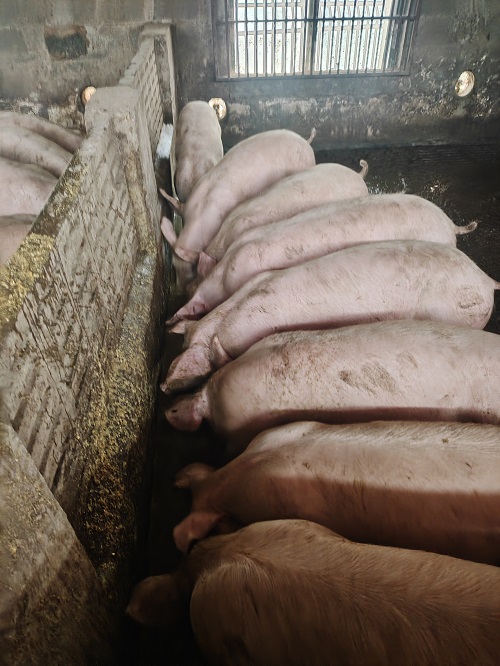 D1EC2F8F083636DF909A1866FB1B2187.jpg D1EC2F8F083636DF909A1866FB1B2187.jpg