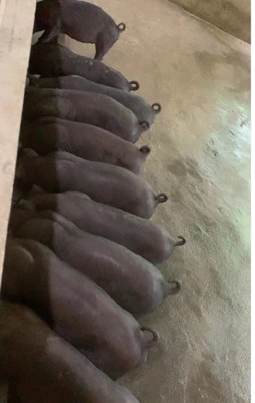 微信圖片_20230612095334.jpg 微信圖片_20230612095334.jpg