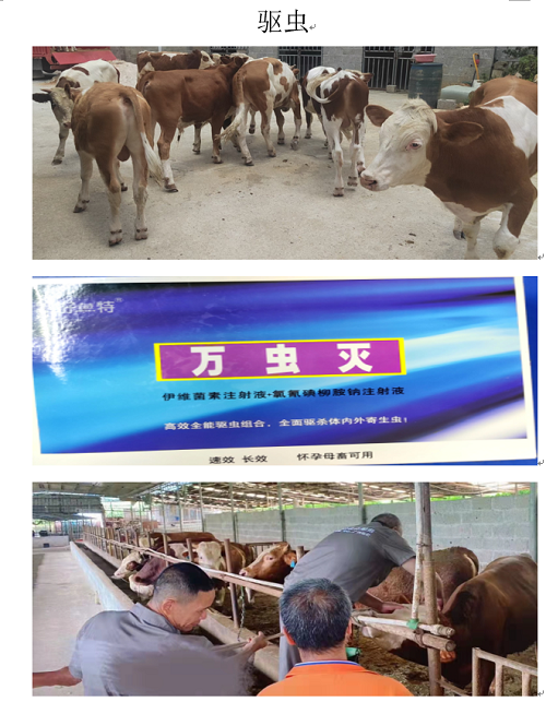 驅(qū)蟲(chóng).png 驅(qū)蟲(chóng).png