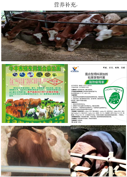 微信圖片_20230926152101.png 微信圖片_20230926152101.png