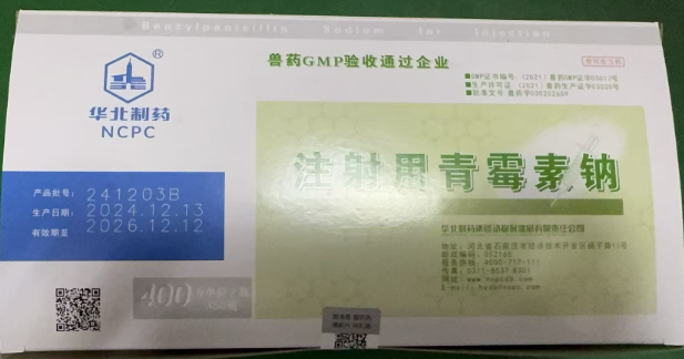 1741830808393.jpg 1741830808393.jpg