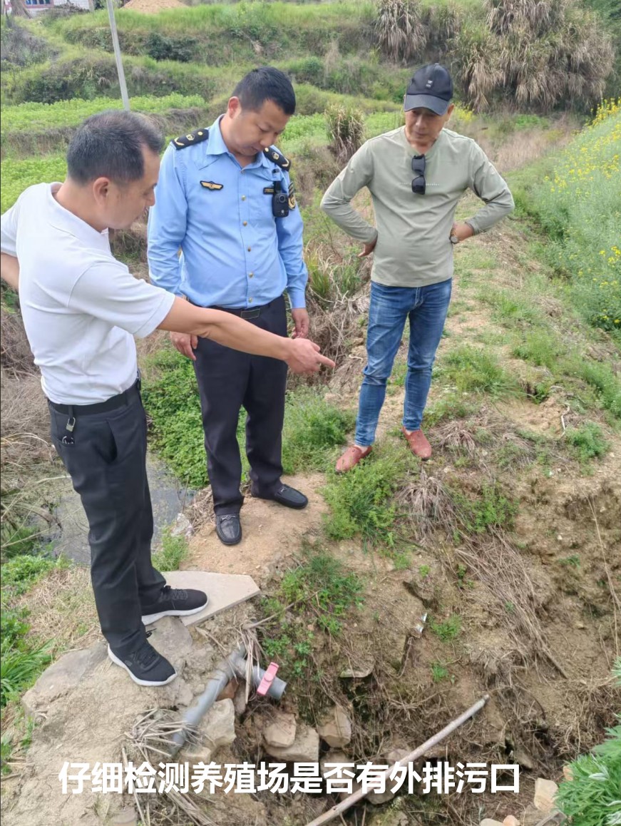 仔細檢測養殖場是否有外排污口.jpg