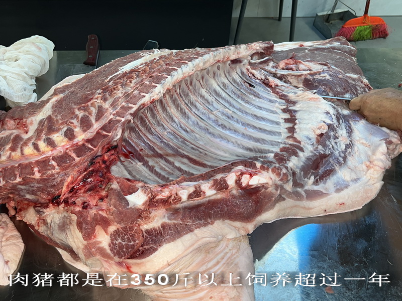 肉豬都是在350斤以上飼養(yǎng)超過(guò)一年.jpg 肉豬都是在350斤以上飼養(yǎng)超過(guò)一年.jpg
