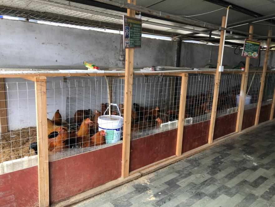 QQ圖片20250425155520.png QQ圖片20250425155520.png