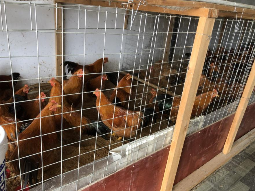 QQ圖片20250425155626.png QQ圖片20250425155626.png